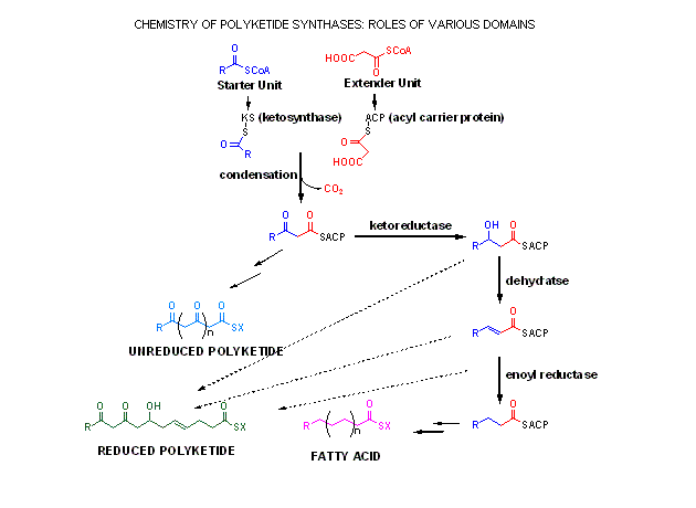 air pollution research paper