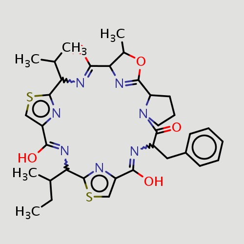 Lissoclinamide1