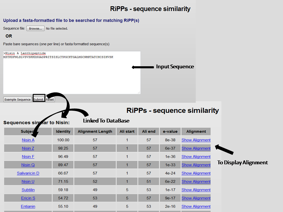 sequencesearch